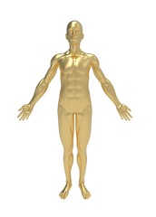 3d illustration of human body