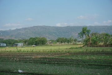 Hill And Farm