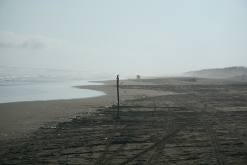 Pole on The Beach Fog