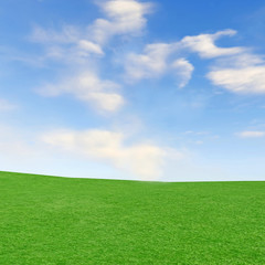green meadow landscape - CG image