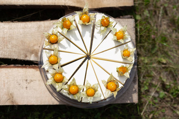 Homemade classic cheesecake with physalis
