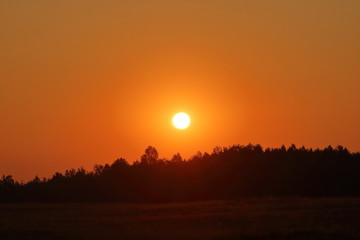 Zachód słońca nad lasem, intensywnie pomarańczowe niebo, jasna tarcza słońca