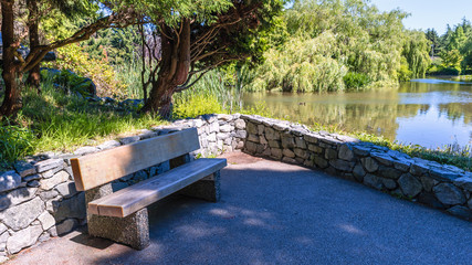 Fototapeta na wymiar wooden bench in a summer park by a pond with floating ducks, green trees and a blue sky