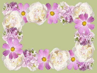 Beautiful floral frame with pelargonium, peony and Cosmo 