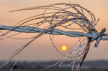 Frozen Water Sunrise