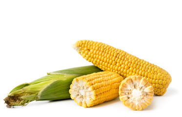 Ripe corn in the leaves and brushed broken in half on a white background. Isolated.