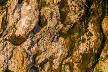 Rock naked breed on a cliff, rocks near the sea.