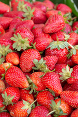 Background with red ripe fresh strawberry
