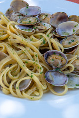 Traditional Italian seafood, spaghetti vongole made with seashells and linguini pasta