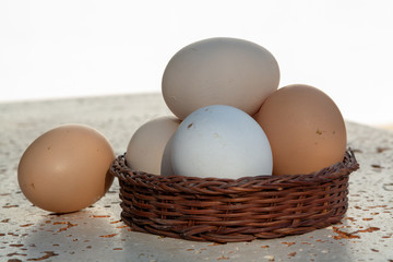 Fresh organic chicken eggs from cage free bio farm