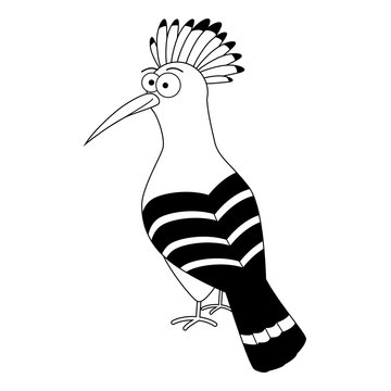 recommend clip art: Colorless funny cartoon hoopoe.
