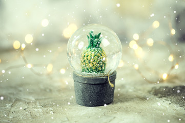 Snow globe with snow flakes, trendy cacti inside