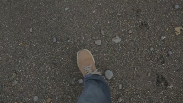 Walking on the beach