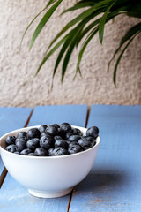Macro photography of a white bowl full of blueberry on a blue wooden table with a palm tree