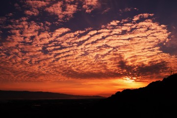 Silhouette of sunset