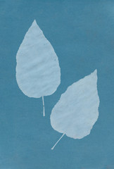 background plants inversion blue