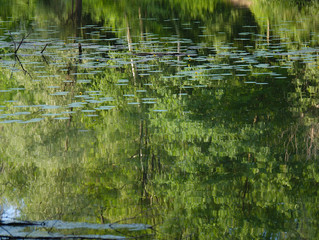 Spiegelung im Wasser