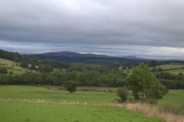 Fototapeta na wymiar Rural England