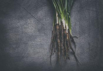 Bunch of Freshly Picked Salsify on Scratchy Background