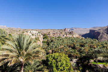 Fototapeta na wymiar Old village Misfah al abreyeen Oasis - Sultanate of Oman