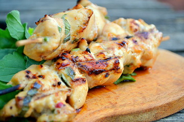 Chicken kebab close-up.