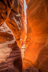 Buckskin Gulch