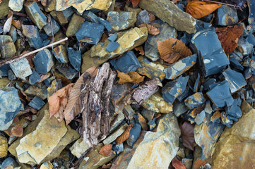 rocks and stones of the sea coast