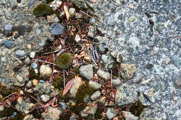 rocks and stones of the sea coast