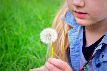 child blowing dandelion