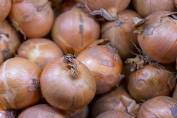 An isolated group of brown onions for sale