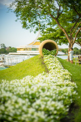Fototapeta premium small white flower on green in the park