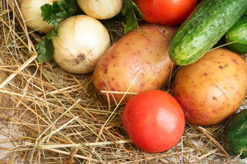 Fresh vegetables lying on a hay, top view.