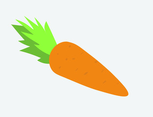 Isolated Carrot. Vector Illustration. 