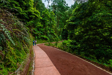 Obraz premium Caldeira Velha waterfall and pool at Sao Miguel - Azores Island, Portugal