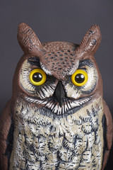 Owl Decoy