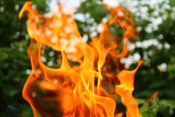 Beautiful bright flame close-up. Background.