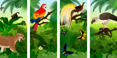 Vector Jungle rainforest vertical baner with  Lesser Bird of Paradisea,puma cougart,  parrot red scarlet macaw arae , hummingbirds, birdwing butterflies and  philippine Eagle with monkey © Save Jungle
