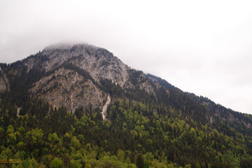 Idyllic landscape in the Alps with fresh green meadows and snow-capped mountain peaks in the background, Bavaria, Germany