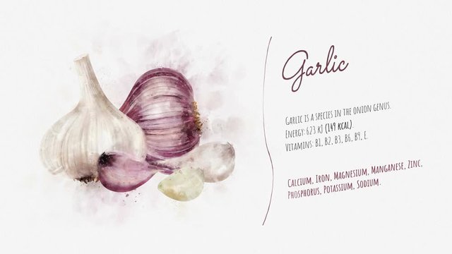 Animated information about the benefits of Garlic