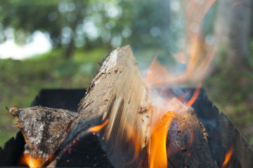 Firewood Grill in the Forest at suny day