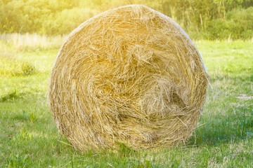 A bale of hay in the foreground in the countryside, a cow food, a farm, a beautiful natural background