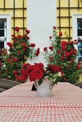 Róże na stole w romantycznym ogrodzie - obrazy, fototapety, plakaty