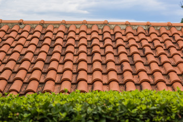 shingles red roof background and bush green plants on foreground yard exterior concept with empty space for copy or text