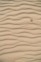 Patterns in the sand made by the wind blowing over the sandy plain