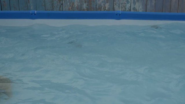 Slender girl, peasant woman, swims in inflatable frame pool on hot summer day.  Concept of rest in own house, unity with nature, naturism, nudism, healthy sexuality