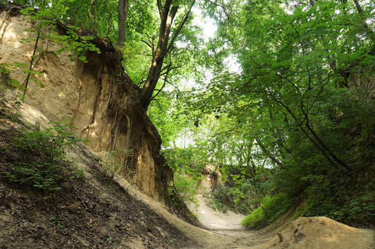 Sandomierz. Poland. Loess gorge of St. Jadwiga.