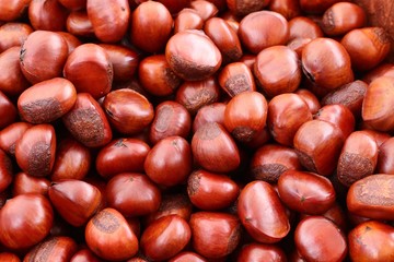chestnuts seed at street food