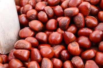 chestnuts seed at street food