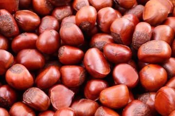 chestnuts seed at street food