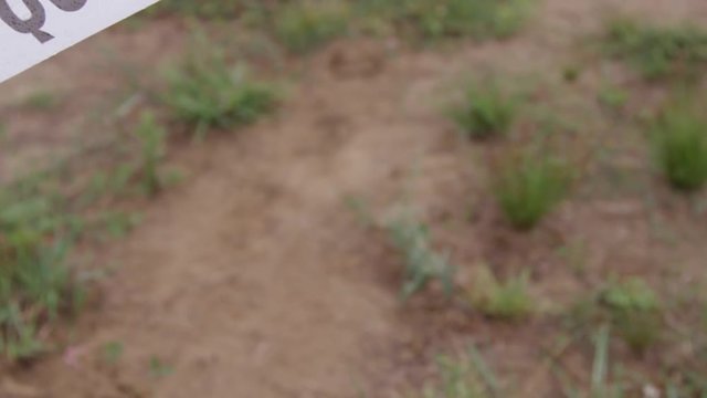 Quarantine zone in dangerous biological disease outbreak area